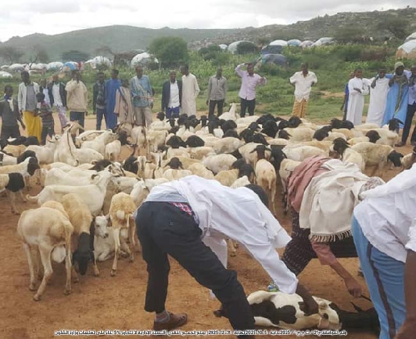 صورة العقائق