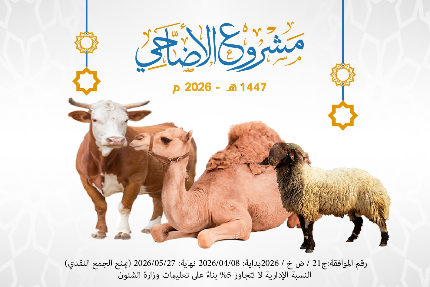 صورة للفئة الأضاحي عام 1447هـ