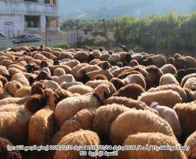 صورة وقفية الأضاحي والذبائح
