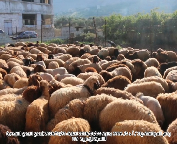 صورة وقفية الأضاحي والذبائح